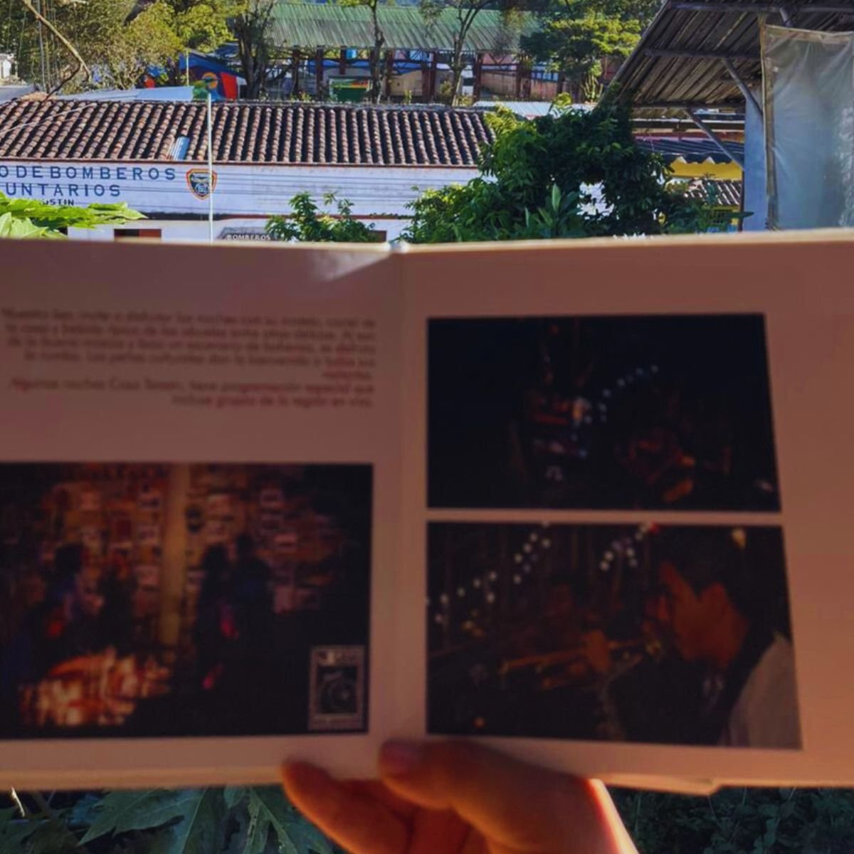 hotelcasatarzan-sanagustin-culturasanagustin