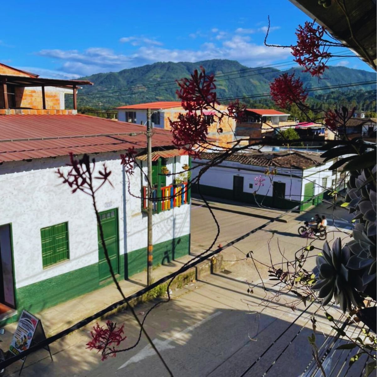 hotelcasatarzan-sanagustin-hotelcentroeconomico