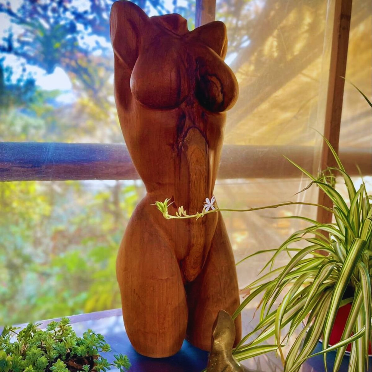 hotelcasatarzan-sanagustin-patrimonio